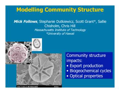 Modelling Community Structure Mick Follows, Stephanie Dutkiewicz, Scott Grant*, Sallie Chisholm, Chris Hill Massachusetts Institute of Technology *University of Hawaii