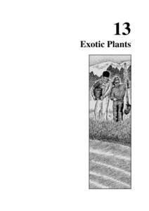 13 Exotic Plants 1 3 E  X O T I C
