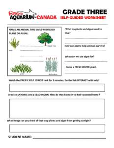 GRADE THREE  SELF-GUIDED WORKSHEET NAME AN ANIMAL THAT LIVES WITH EACH PLANT OR ALGAE.