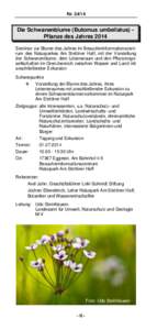 Nr[removed]Die Schwanenblume (Butomus umbellatus) Pflanze des Jahres 2014 Seminar zur Blume des Jahres im Besucherinformationszentrum des Naturparkes Am Stettiner Haff, mit der Vorstellung der Schwanenblume, dem Lebensra