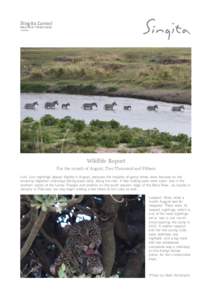 Singita Lamai Mara River Tented Camp Tanzania Wildlife Report For the month of August, Two Thousand and Fifteen