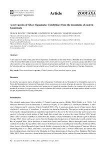 Colubridae / Americas / Political geography / Zacapa Department / Zacapa / Guatemala