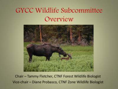 GYCC Wildlife Subcommittee Overview Chair – Tammy Fletcher, CTNF Forest Wildlife Biologist Vice-chair – Diane Probasco, CTNF Zone Wildlife Biologist