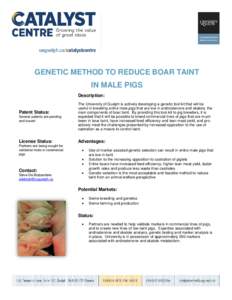 GENETIC METHOD TO REDUCE BOAR TAINT IN MALE PIGS Description: Patent Status: Several patents are pending