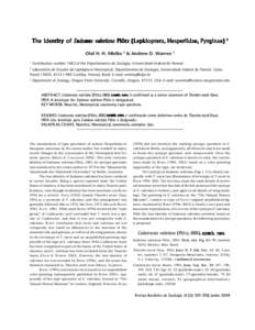 The identity of Eudamus valeriana Plötz (Lepidopter a, Hesper iidae, Pyr ginae) (Lepidoptera, Hesperiidae,