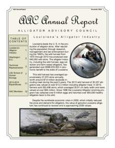 AAC Annual Report  December 2014 AAC Annual Report A L L I G A T O R