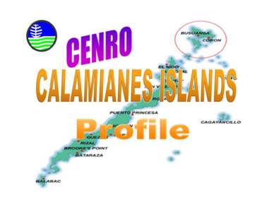  DENR-CENRO Calamianes Islands, Palawan is the product of  the recent DENR reorganization in 1987 by virtue of Executive Order No. 192  Integration of defunct Bureau of Forest Development, Lands and other field bure