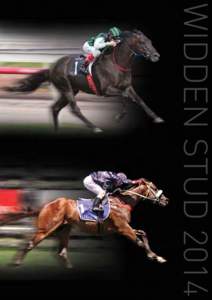 WIDDEN STUD 2014  SHAMUS AWARD Snitzel/Sunset Express - $27,500 inc GST