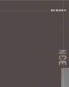 BIG BLOCK .03  BIG BLOCK BLOCKS A. Blocks- Cast Iron, Siamese-Bore Mopar Siamese-bore Big Blocks are specifically designed to be bored larger.