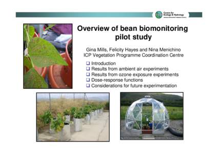 Overview of bean biomonitoring pilot study Gina Mills, Felicity Hayes and Nina Menichino ICP Vegetation Programme Coordination Centre  Introduction  Results from ambient air experiments