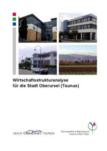 Wirtschaftsstrukturanalyse für die Stadt Oberursel (Taunus)