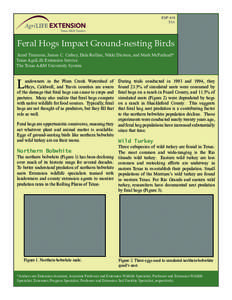 ESP[removed]Feral Hogs Impact Ground-nesting Birds Jared Timmons, James C. Cathey, Dale Rollins, Nikki Dictson, and Mark McFarland* Texas AgriLife Extension Service