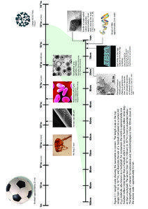 Nanomaterials / Time / Future / Nanoparticle / Nanostructure / Don Eigler / Nanoscopic scale / Impact of nanotechnology / Outline of nanotechnology / Nanotechnology / Emerging technologies / Materials science