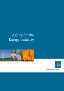 Agility for the Energy Industry E-I Consulting Group E-I Consulting Group is a network of independent consulting firms throughout Europe, established inWe address the issues faced by companies expanding in Europe