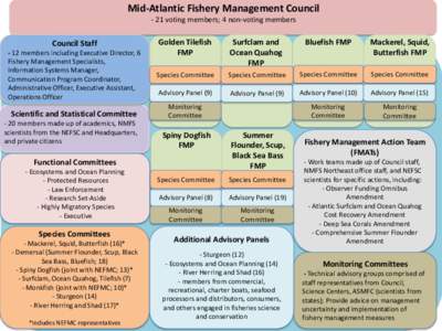 Mid-Atlantic Fishery Management Council - 21 voting members; 4 non-voting members Surfclam and Ocean Quahog FMP