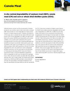 Canola Meal In situ ruminal degradability of soybean meal (SBM), canola meal (CM) and corn or wheat dried distillers grains (DDG). G. Maxin, D.R. Ouellet and H. Lapierre Dairy and Swine Research and Development Center, A