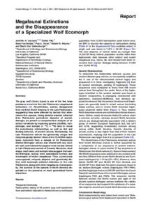 Wolves / Pleistocene / Canines / Beringian wolf / Gray wolf / Quaternary extinction event / Beringia / Canis / Coyote / Wolf / Smilodon / Dhole