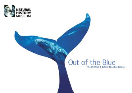 Out of the Blue  The UK Whale & Dolphin Stranding Scheme 2