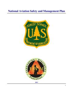 National Aviation Safety and Management Plan[removed]  2011