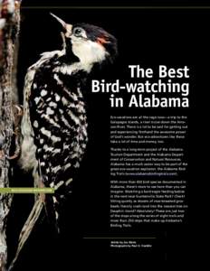 The Best Bird-watching in Alabama Eco-vacations are all the rage now—a trip to the Galapagos Islands, a river cruise down the Amazon River. There is a lot to be said for getting out and experiencing firsthand the aweso