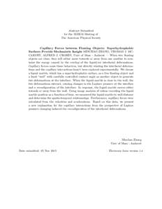 Abstract Submitted for the MAR16 Meeting of The American Physical Society Capillary Forces between Floating Objects: Superhydrophobic Surfaces Provide Mechanistic Insight MINCHAO ZHANG, THOMAS J. MCCARTHY, ALFRED J. CROS