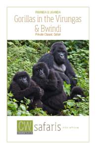 Geography of Africa / Africa / Virunga Mountains / Kisoro District / Bwindi Community Hospital / Bwindi Impenetrable National Park / Mgahinga Gorilla National Park / Mountain gorilla / Volcanoes National Park / Mount Gahinga / Gorilla / Rwanda