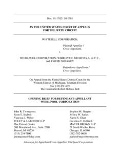 Nos[removed]1761 IN THE UNITED STATES COURT OF APPEALS FOR THE SIXTH CIRCUIT WHITESELL CORPORATION, Plaintiff-Appellee / Cross-Appellant,