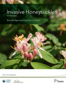 Invasive Honeysuckles (Lonicera spp.) Best Management Practices in Ontario  ontario.ca/invasivespecies