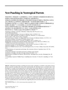 Nest Poaching in Neotropical Parrots TIMOTHY F. WRIGHT,* CATHERINE A. TOFT,† ERNESTO ENKERLIN-HOEFLICH,‡ JAIME GONZALEZ-ELIZONDO,‡ MARIANA ALBORNOZ,§ ADRIANA RODRÍGUEZ-FERRARO,§ FRANKLIN ROJAS-SUÁREZ,§ VIRGINI