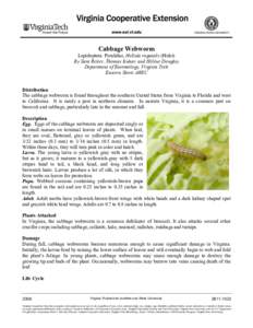 Cabbage Webworm Lepidoptera: Pyralidae, Hellula rogatalis (Hulst) By Sara Reiter, Thomas Kuhar, and Hélène Doughty Department of Entomology, Virginia Tech Eastern Shore AREC Distribution