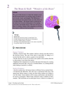 2  The Brain & Skull: Wonders of the Brain”