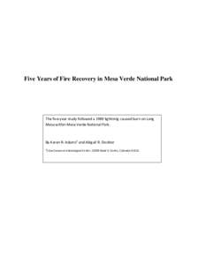 Five Years of Fire Recovery in Mesa Verde National Park  The five-year study followed a 1989 lightning-caused burn on Long Mesa within Mesa Verde National Park.  By Karen R. Adams1 and Abigail R. Dockter