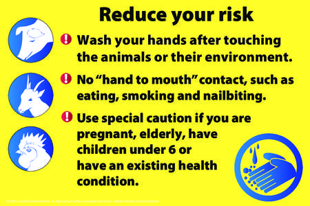 Reduce your risk Wash your hands after touching the animals or their environment. No “hand to mouth” contact, such as eating, smoking and nailbiting. Use special caution if you are