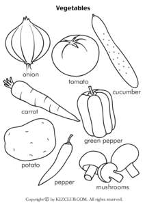 Vegetables  onion tomato cucumber
