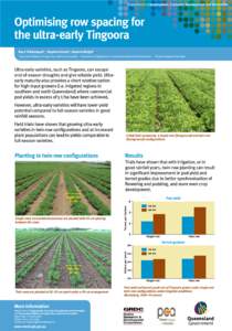 Department of Employment, Economic Development and Innovation  Optimising row spacing for the ultra-early Tingoora Rao C N Rachaputi1, Stephen Krosch2, Graeme Wright3 1