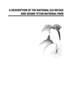 Bridger-Teton National Forest / Grand Teton National Park / Jackson micropolitan area / National Elk Refuge / Jackson Hole / Teton National Forest / Jackson /  Wyoming / Jackson Lake / Yellowstone National Park / Wyoming / Geography of the United States / Greater Yellowstone Ecosystem