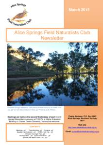 nta Drive by Mat GilfedderThis  March 2015 Alice Springs Field Naturalists Club Newsletter