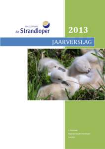 2013 JAARVERSLAG L. Heijselaar Vogelopvang de strandloper[removed]