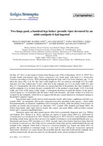 Correspondence ISSN[removed]The journal is available on line at www.ecol-mne.com Two fangs good, a hundred legs better: juvenile viper devoured by an adult centipede it had ingested