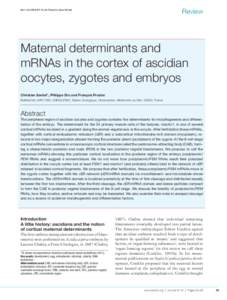 Review  Biol. Cell, 35–49 (Printed in Great Britain) Maternal determinants and mRNAs in the cortex of ascidian