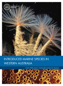 INTRODUCED MARINE SPECIES IN WESTERN AUSTRALIA Fred E. Wells, Justin I. McDonald and John M. Huisman Department of Fisheries 3rd floor SGIO Atrium