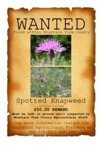 WANTED  Found within Mountain View County Spotted Knapweed (Centaurea maculosa)