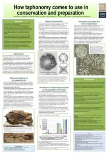 How taphonomy comes to use in conservation and preparation Trine Sørensen, Department of Conservation, Museum of Southern Jutland, Fabriksvej 17-21, DK-6510 Gram, Denmark. E-mail:  On site ta