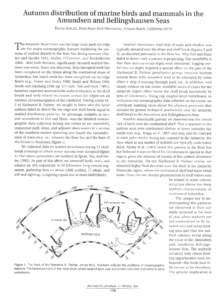 Autumn distribution of marine birds and mammals in the Amundsen and Bellingshausen Seas DAVID AINLEY, Point Reyes Bird Observatory, Stinson Beach, California 94970