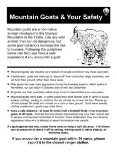 Mountain Goats & Your Safety Mountain goats are a non-native animal introduced to the Olympic Mountains in the 1920s. Like any wild animal, they can be dangerous, but some goat behaviors increase the risk