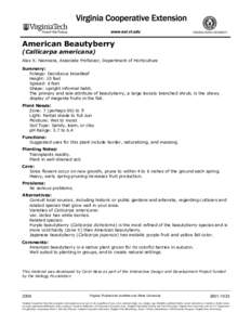 American Beautyberry (Callicarpa americana) Alex X. Niemiera, Associate Professor, Department of Horticulture Summary: Foliage: Deciduous broadleaf