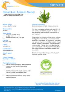 Broad Leaf Amazon Sword Echinodorus bleheri Natural Range  General Information