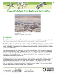 1  Student Worksheet: Arctic Sea Ice and the Food Web Arctic sea ice. Kathy Conlan © Canadian Museum of Nature