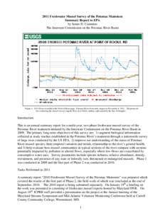 2011 Freshwater Mussel Survey of the Potomac Mainstem Summary Report to EPA by James D. Cummins The Interstate Commission on the Potomac River Basin  Figure 1: 2011 Flows recorded at the Point of Rock gage, Potomac River