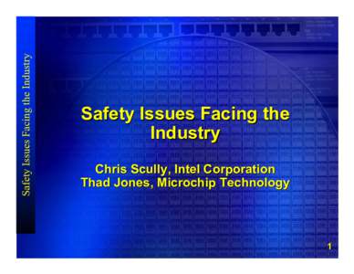 Safety Issues Facing the Industry  Safety Issues Facing the Industry Chris Scully, Intel Corporation Thad Jones, Microchip Technology